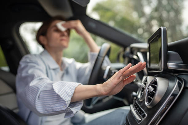 Best Central Air Repair  in Goodland, IN